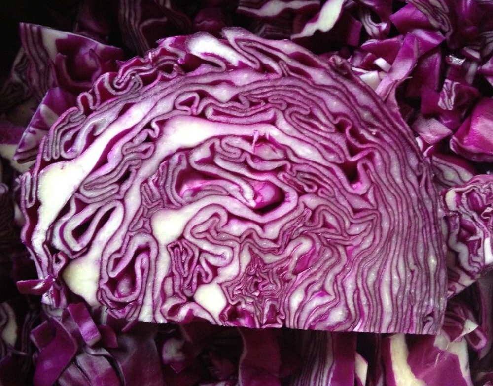 purple cabbage